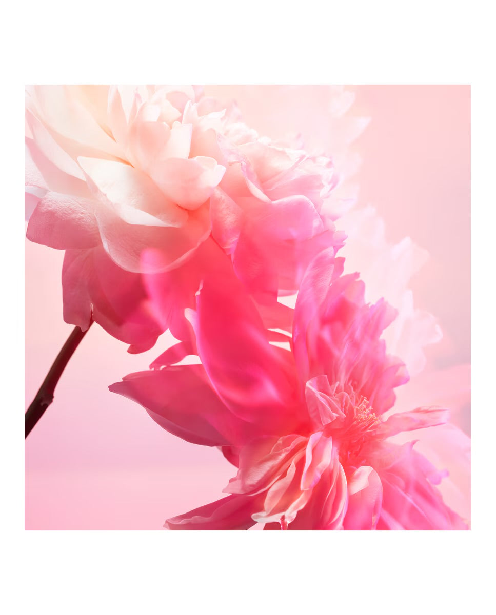 LOVE FREQUENCY
10 ML FRAGRANCE